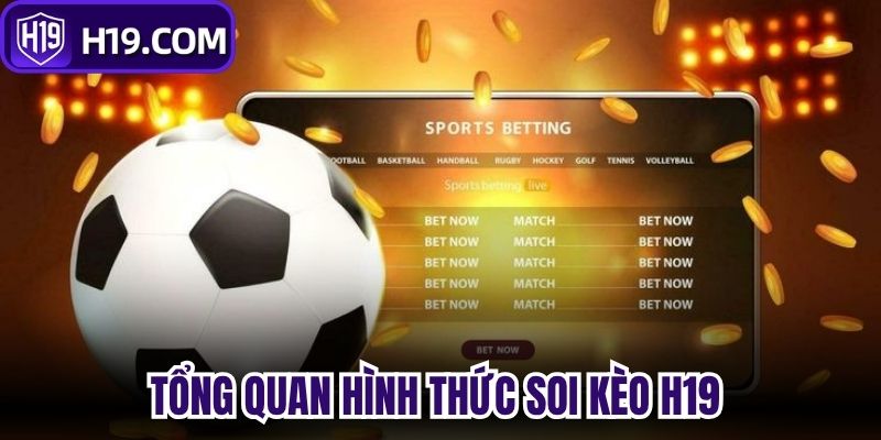 Tổng quan hình thức Soi kèo H19